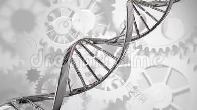 双<strong>螺旋DNA</strong>和齿轮.