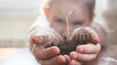 女孩手里拿着年轻的绿色植物。 生长，<strong>呵护</strong>，保护<strong>地球</strong>，生态的理念和标志..
