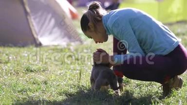 年轻女子正和一只可爱的小狗在露营地的草地上玩耍
