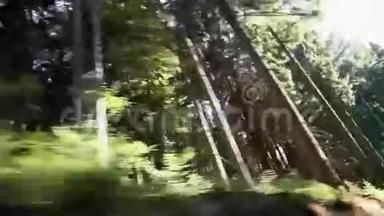 驾驶着高大的树木穿过森林.