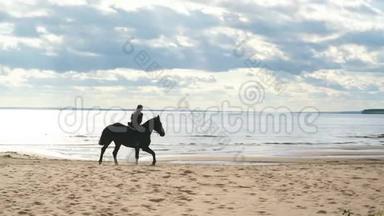 清晨在海滩上骑马的女孩
