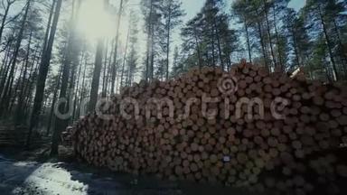 伐木工人伐木工人在森林道路上工作