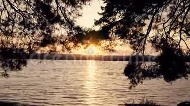 日落时的春天森林和湖泊