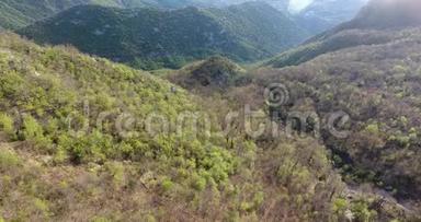 空中直升机拍摄高山上一片<strong>未被</strong>触及的森林