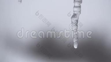 冰柱的特写融化，水滴滴落下来