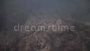 马洛卡海滩水下视频拍摄..