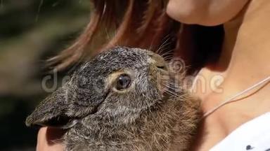女孩正抱着一只小野毛小兔子。 <strong>掌中</strong>的小兔子.. 慢动作