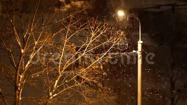 4K镜头下，冬天的夜晚，雪落在光柱和树上