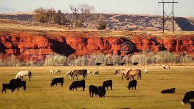 美国西部怀俄明州美丽的Butter牲畜牧场