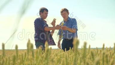 老两个农民夏季<strong>握手</strong>男子在你的智能手机麦田跑在田间小麦面包。 慢速<strong>视频</strong>