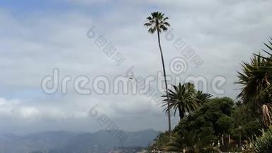 从棕榈树到加州<strong>圣塔莫尼卡</strong>海洋的倾斜