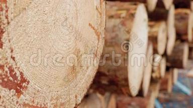 切割的原木在其他松木原木的背景上的大框架。