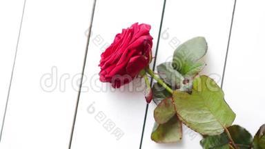 白色木桌上的鲜红色玫瑰花