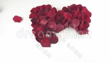 红玫瑰花瓣的心形在白色背景下被风吹散，慢动作的股票录像