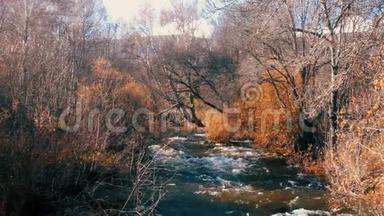秋天美丽的景色中，一条河流沿着无叶的树木