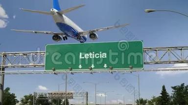 飞机着陆莱蒂西亚