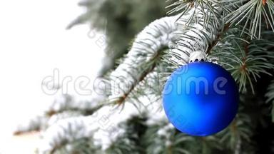蓝色圣诞球挂在云杉枝上