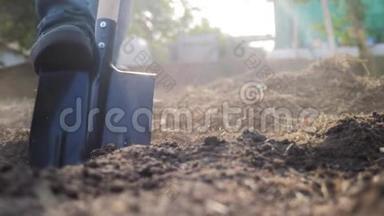 农夫用铲子挖地，用花园铁锹特写。 慢动作视频。 农夫在花园里干活