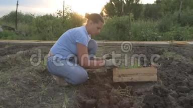 瘦削的<strong>农民</strong>女孩挖地<strong>收割</strong>土豆，把土豆堆在木箱里。