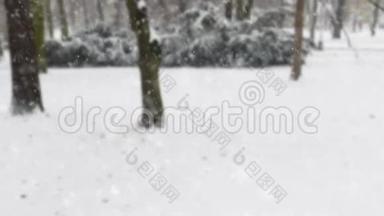 冬天的公园里下雪，背景模糊