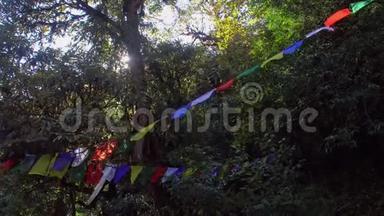 佛教祈祷旗悬挂在尼泊尔的徒步路径。 在喜马拉雅山探险