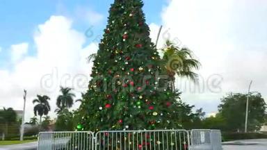 迈阿密市中心的圣诞树