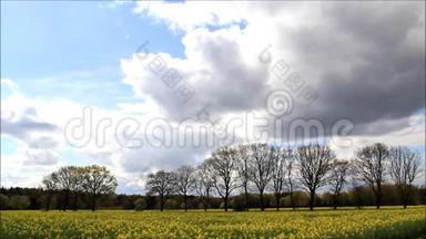 四月的风景云、树木和黄田