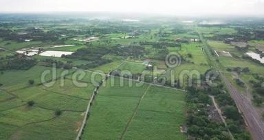 泰国农村典型的水稻种植或农业住房的鸟瞰图