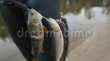 长矛渔民展示了水下渔民在森林河狩猎后带上的淡水鱼