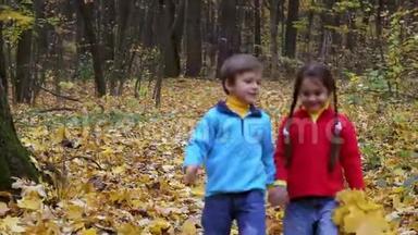 两个孩子在秋天的森林里散步