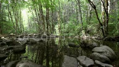 高清晰度电影沿风景步道水反射到干溪瀑布在级联岩石俄勒冈州1080p