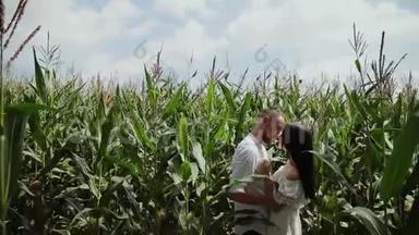 相爱的夫妻站在玉米地里<strong>拥抱</strong>和亲吻。