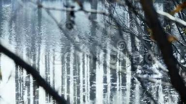 森林和树枝在沼泽湿地的水中倒影，波光粼粼的涟漪，雪。