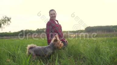 日落时分，女孩和一只狗在大自然中玩耍。 狗约克郡猎犬，玩生活方式，用自然的球<strong>接球</strong>