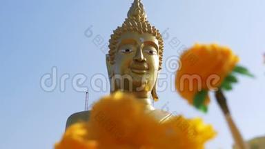 芭堤雅大金佛寺的泰国捐款树。 泰国。