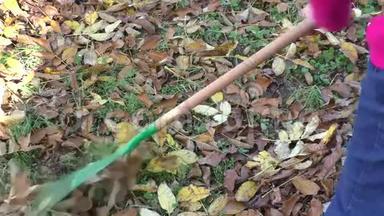 女园丁用耙子清理花园秋天