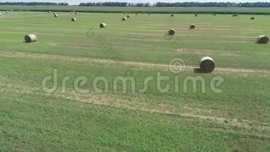 鸟瞰绿橙色的田野，有圆形的草捆干草。 4k视频