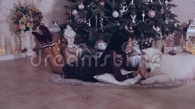 美丽的女孩在圣诞树附近和萨莫伊德狗玩耍和玩耍