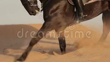阿拉伯骑手在迪拜沙漠骑马