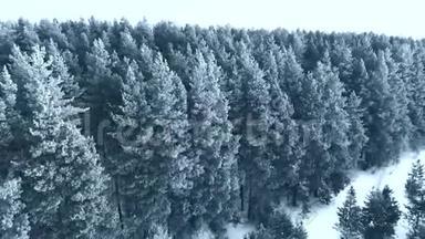 冬季。 雪林，航拍.. 令人叹为观止的自然景观，冰冻的森林和黑暗的田野道路与雪。
