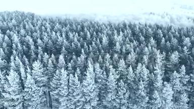 冬季。 雪<strong>林</strong>，<strong>航拍</strong>.. 令人叹为观止的自然景观，冰冻的森<strong>林</strong>和黑暗的田野道路与雪。