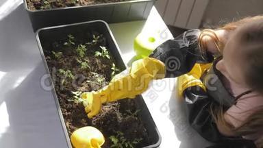 有趣的小园丁关心植物。 可爱的小女孩种树苗。 春观念，自然与关怀..