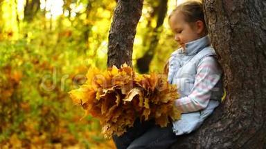 坐在树上拿着秋叶的摄影女孩