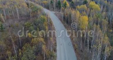 秋路车的天景.. 秋天森林中乡间小路的鸟瞰图.. 森林和公路