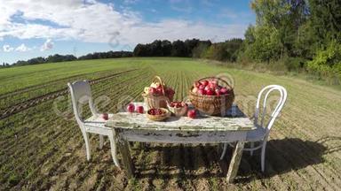 农业收获概念。 苹果篮子放在旧的白色桌子上，放在秋天的农场和云彩上。 延时4K