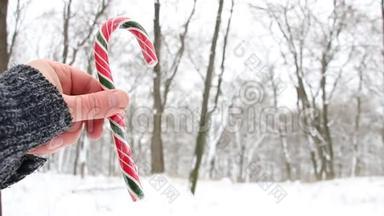 手里拿着糖果拐杖。 圣诞风景。