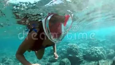 年轻女士在热<strong>带</strong>海域的珊瑚礁上浮潜。 戴<strong>口罩</strong>的女人在清水中浮潜