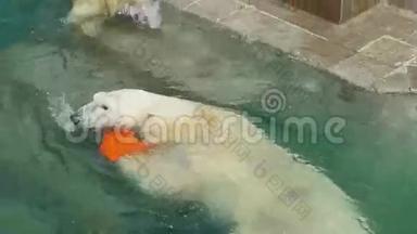 北极熊在水里游泳