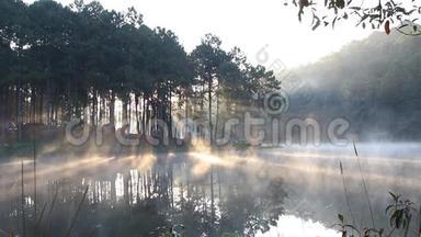 早晨，雾在湖边露营，阳光明媚