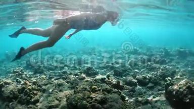 年轻女士在热带海域的珊瑚礁上浮潜。 戴口罩的女人在清水中浮潜